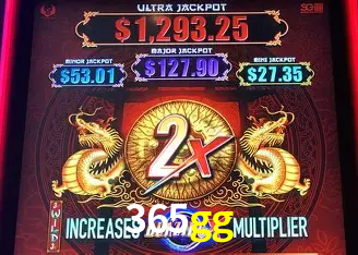 365gg Belo Horizonte - VIP Casino